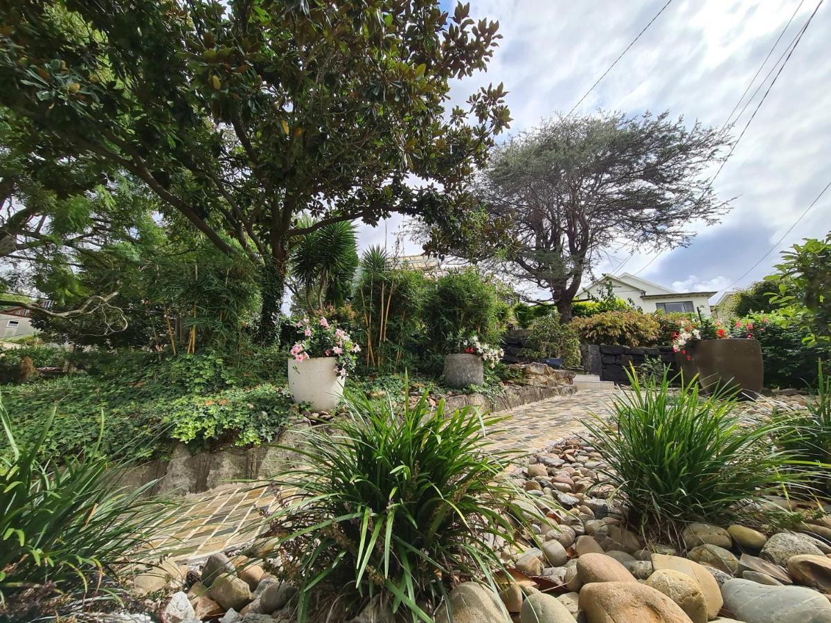 Bamboo House, Close To The City & Airport & Train Station And Brighton Le Sands Beach Sydney Exterior photo